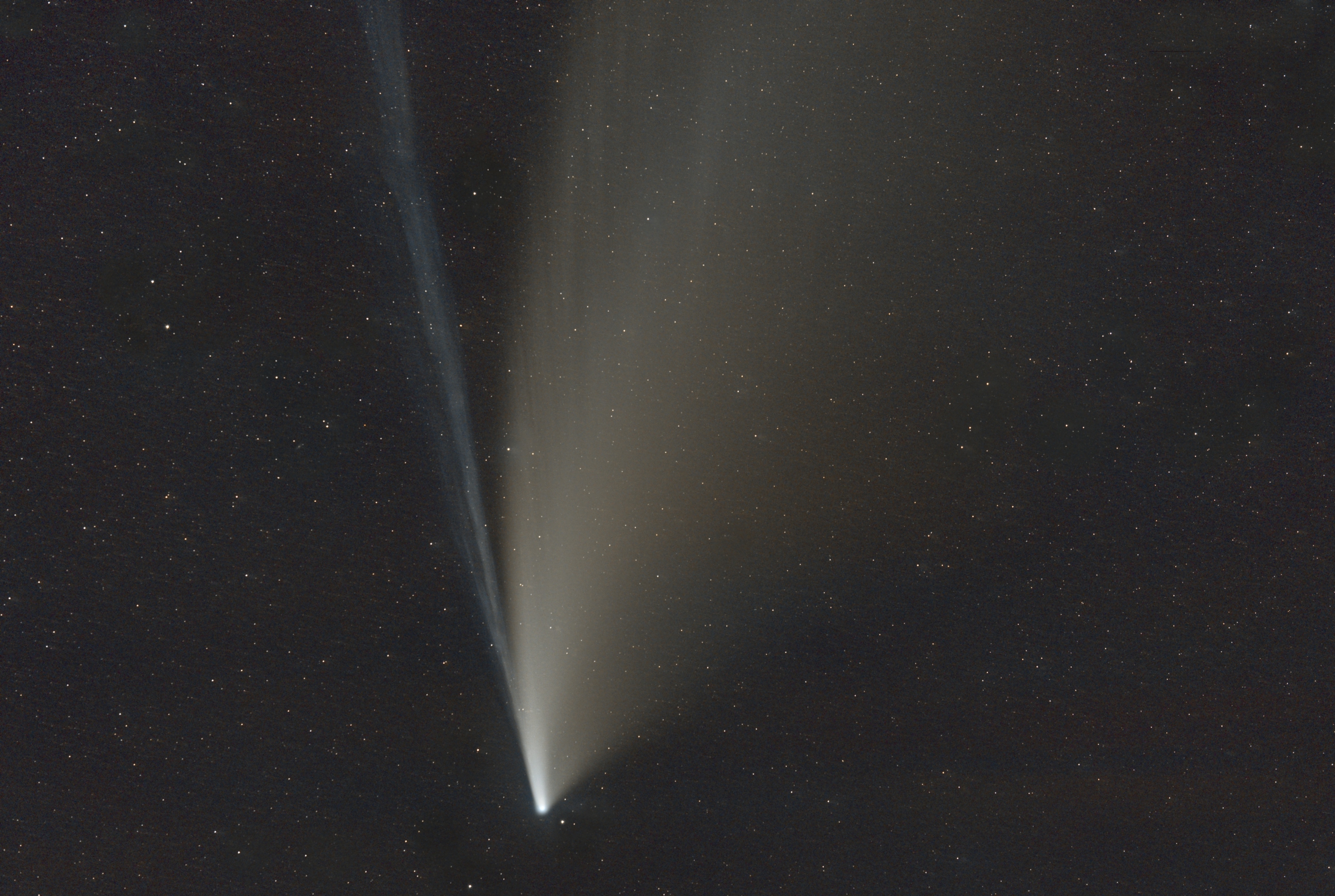 Neowise and his tails