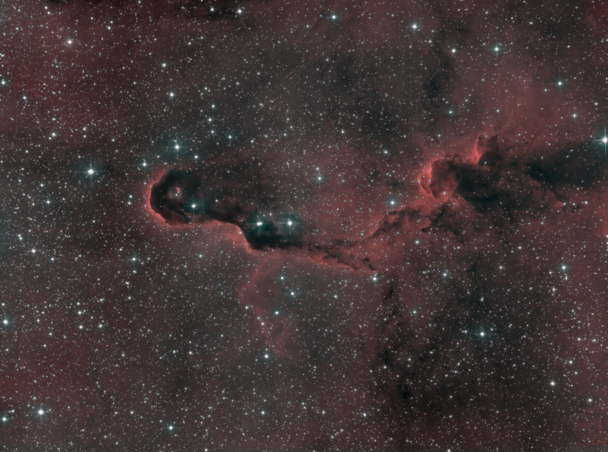 Elephant's Trunk IC 1396A/B, vdB 142 – Bicolor