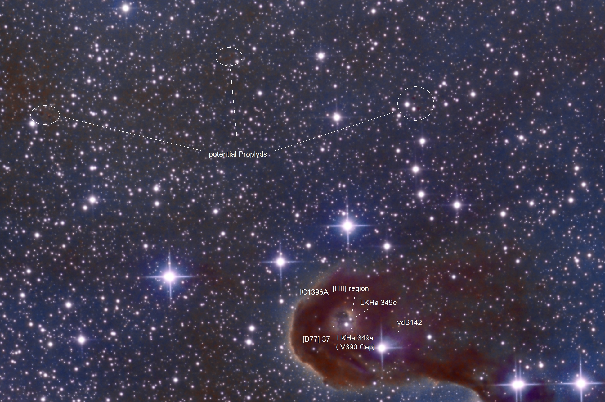 Elephant's Trunk IC 1396A/B, vdB 142 - annotated