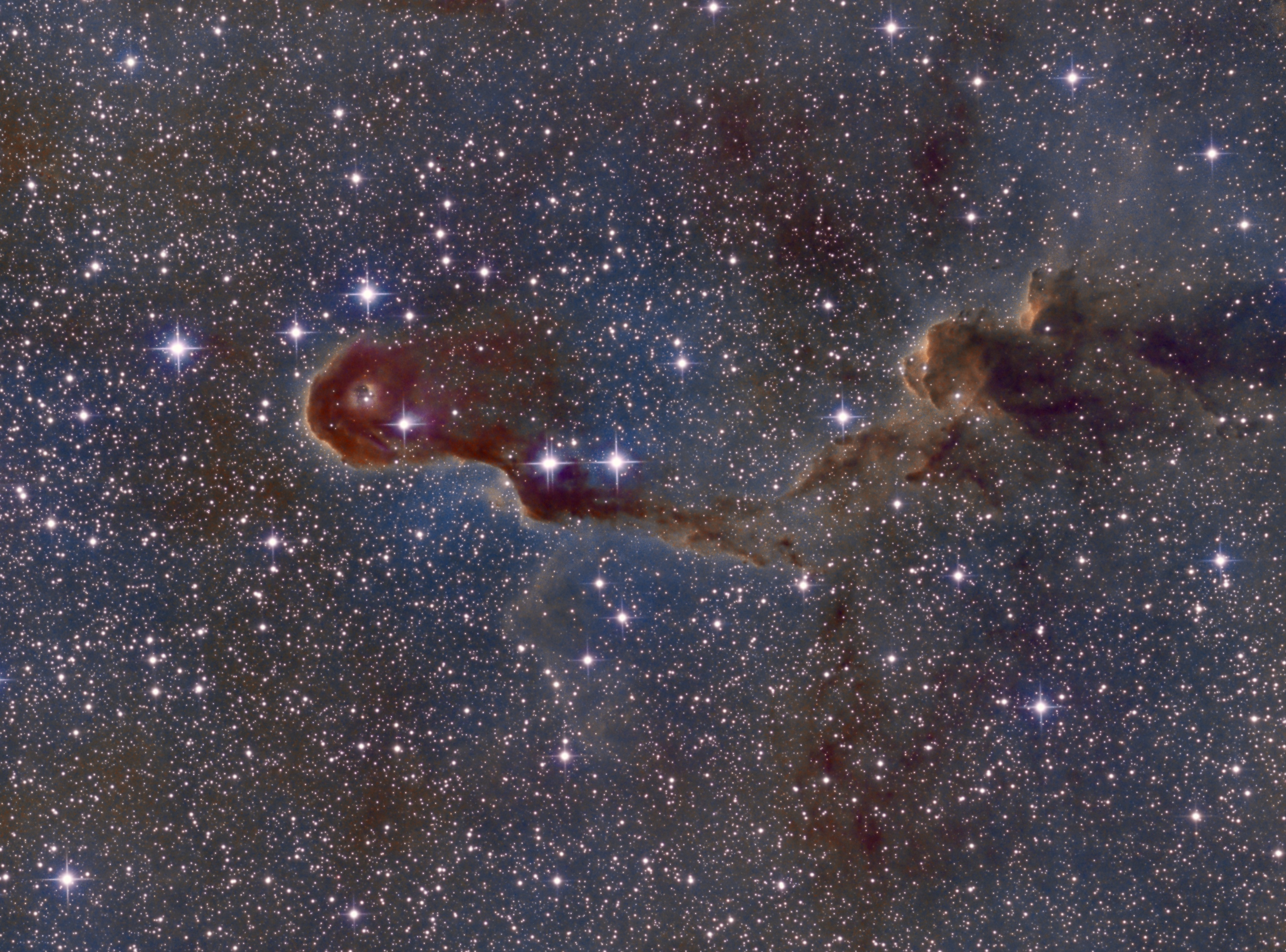 IC 1396
