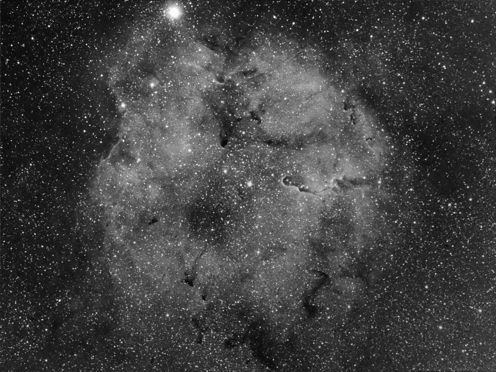IC 1396 - wide angle view, H&alpha;
