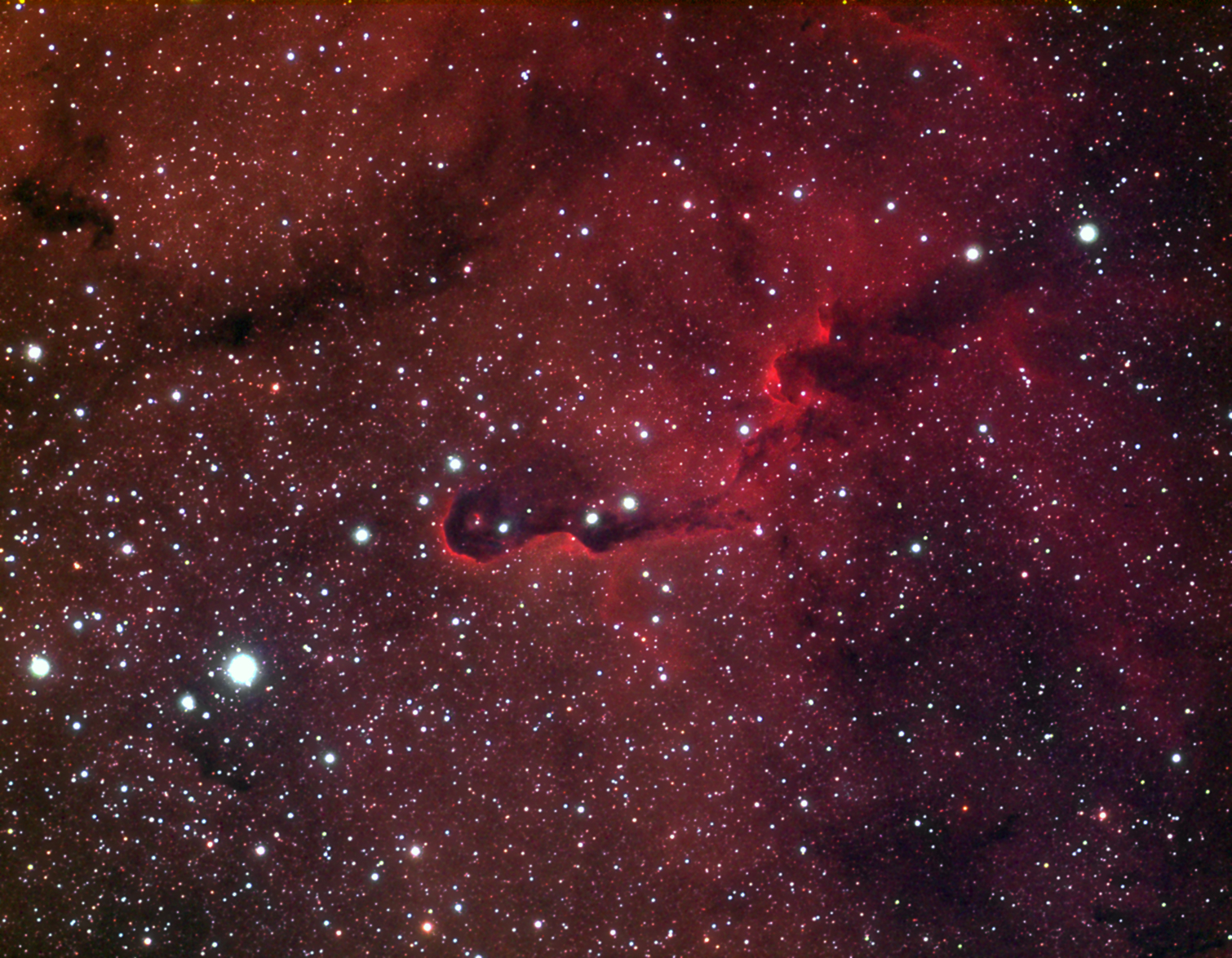 IC 1396A - LRGB