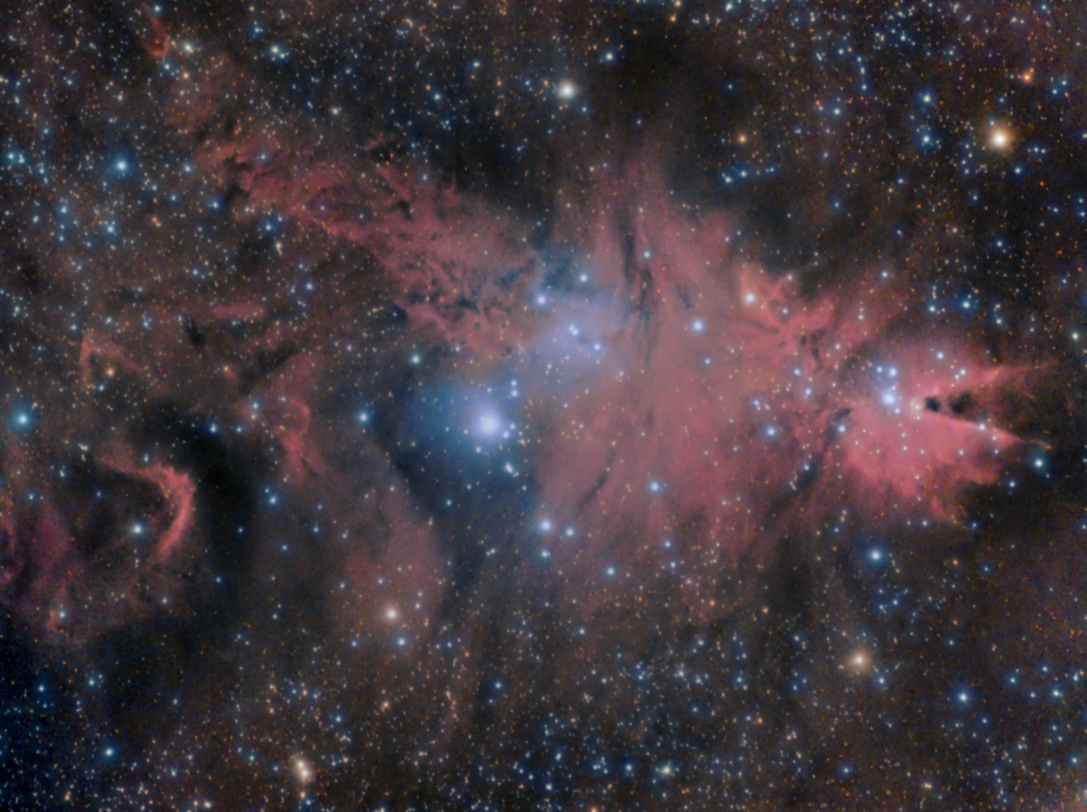 NGC 2264 - Christmas Tree Nebulas, Fox Fur nebula, Cone Nebula