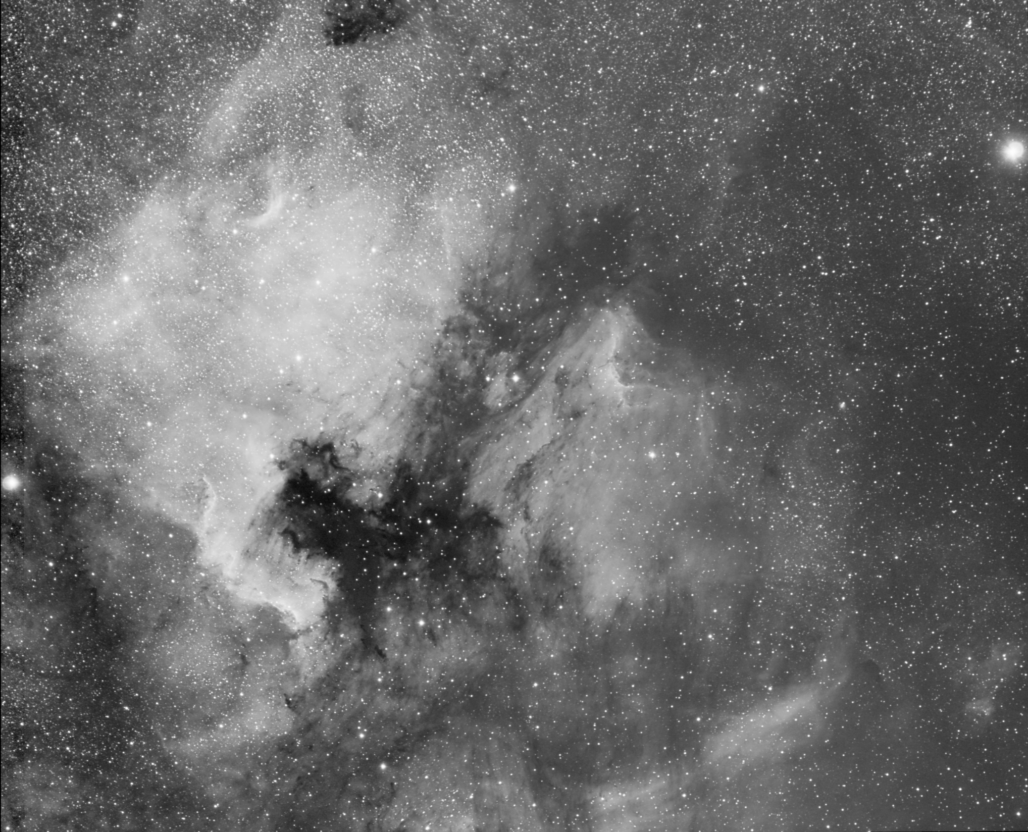 NGC 7000 and IC 5070 - H&alpha;