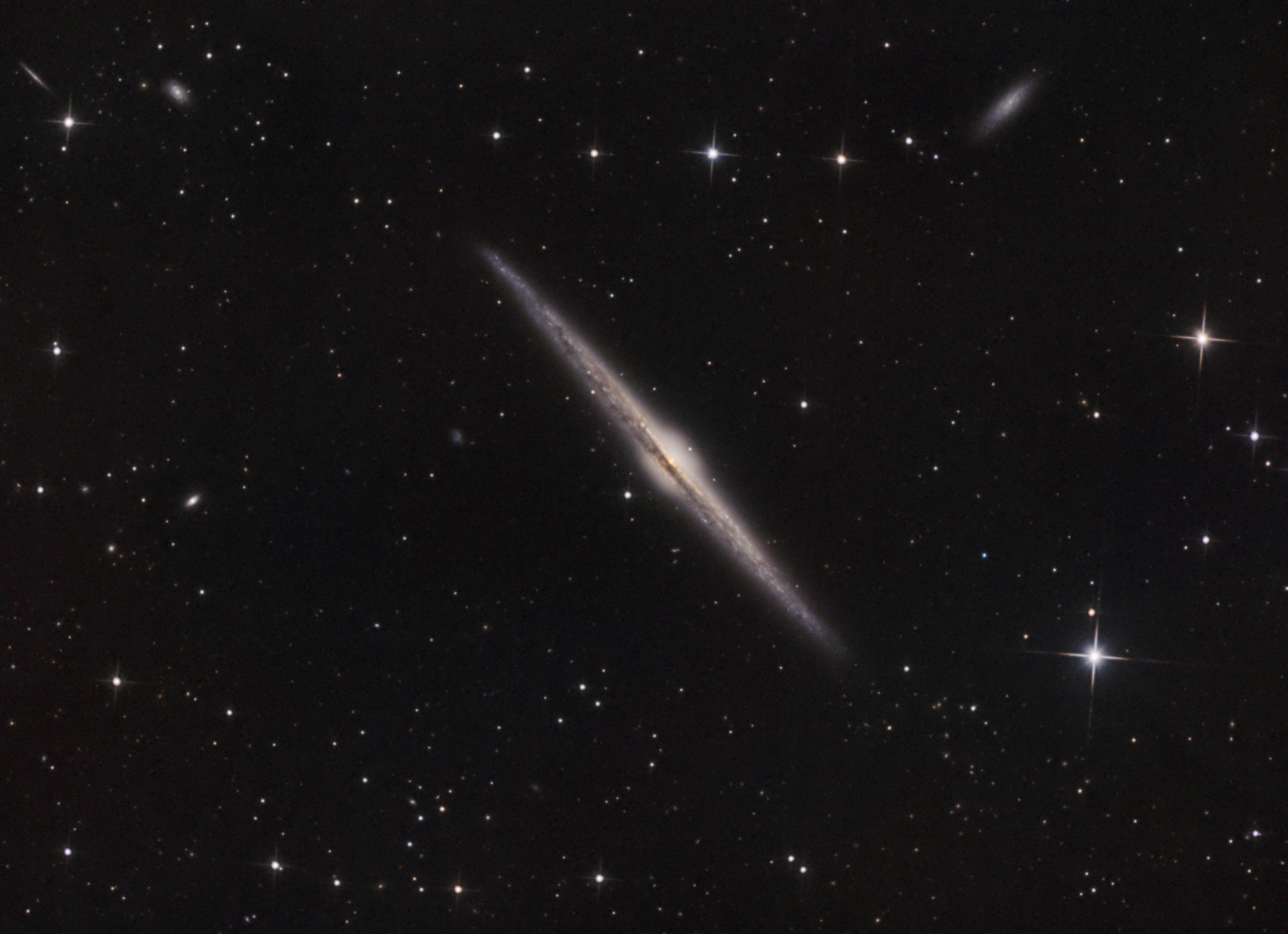 NGC4565