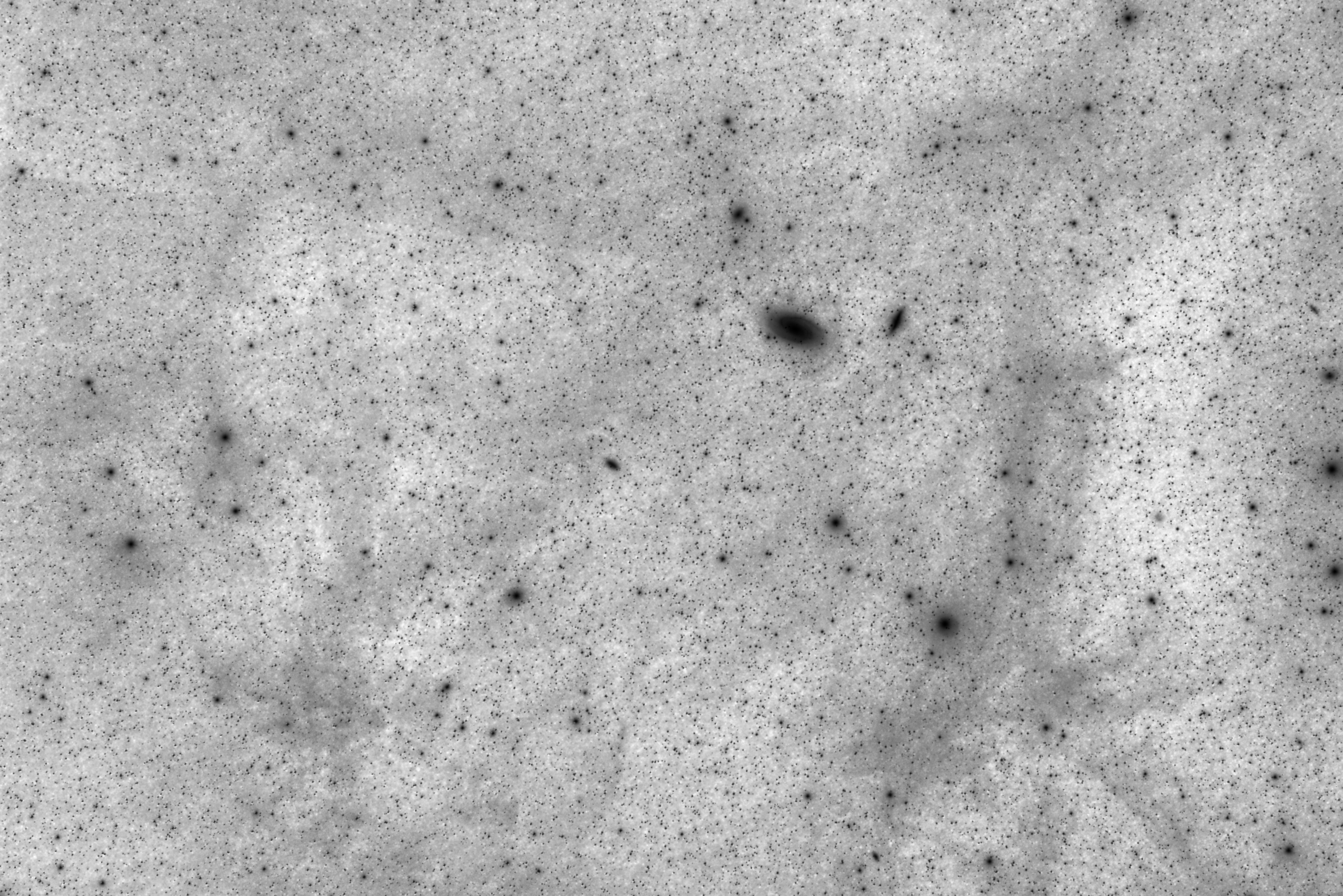 M 81, M 82 and the Galactic Cirrus - widefield image, inverted