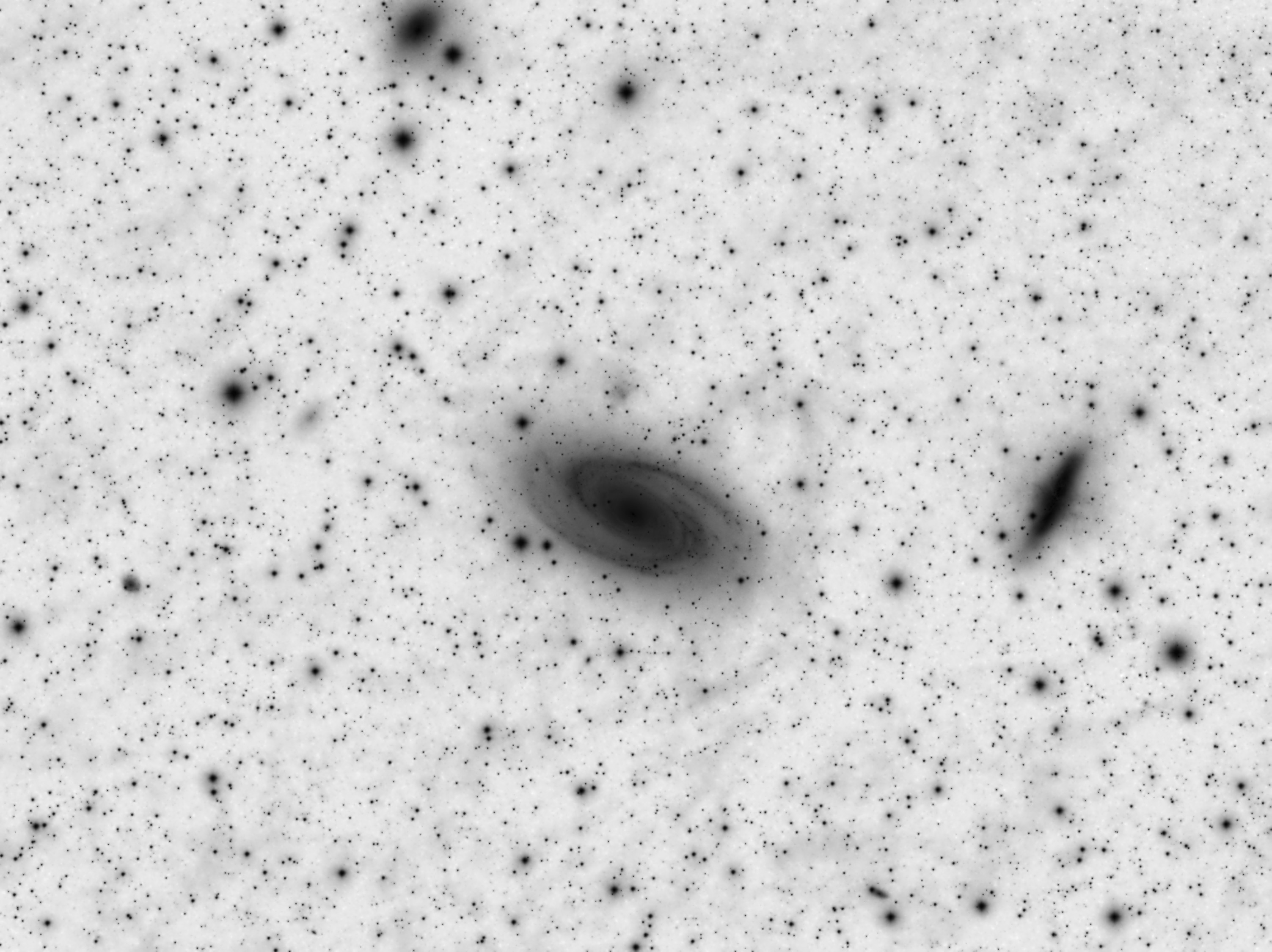 M 81, M 82 and Galactic Cirrus - inverted