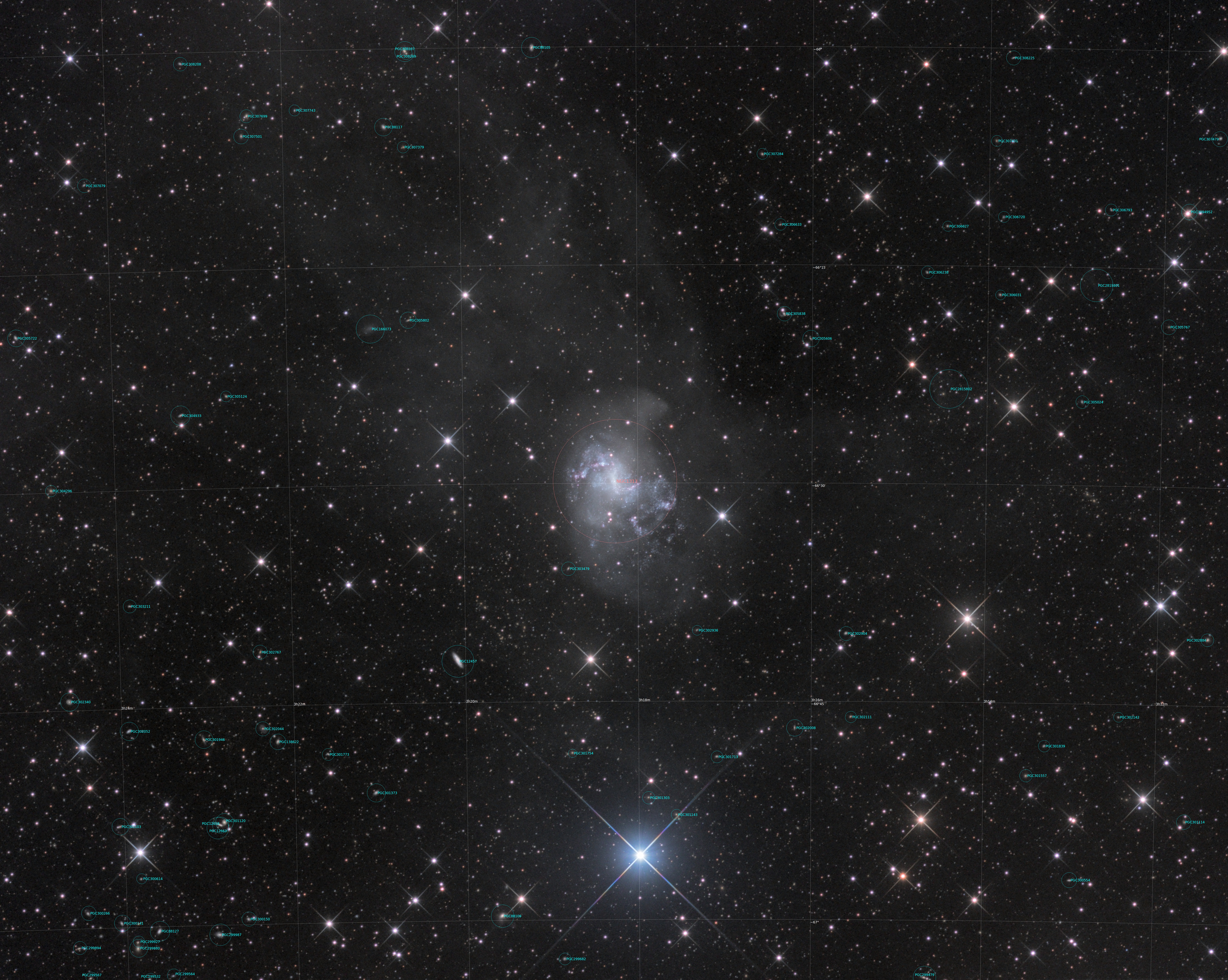 NGC 1313 - annotated