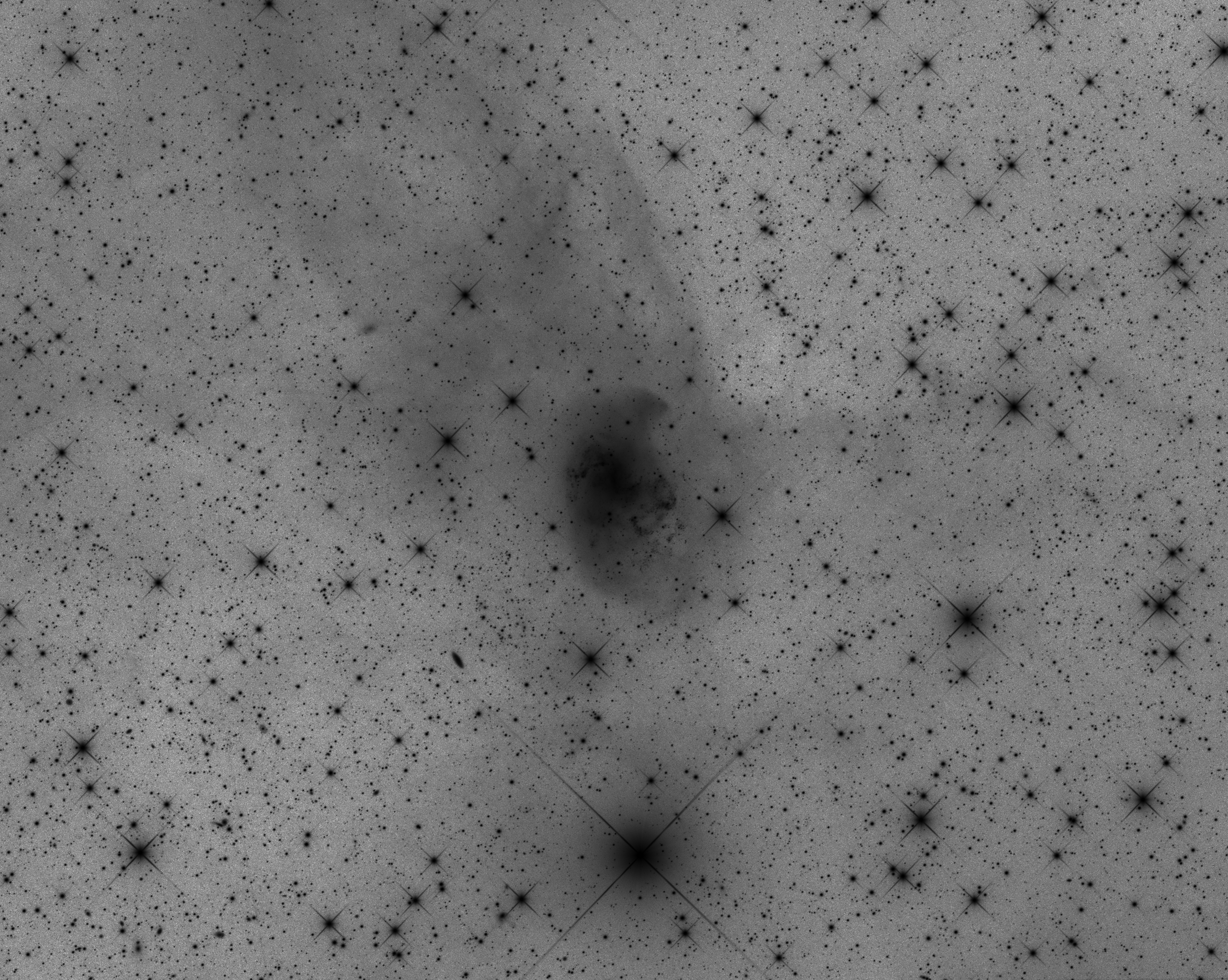 NGC 1313 - inverted