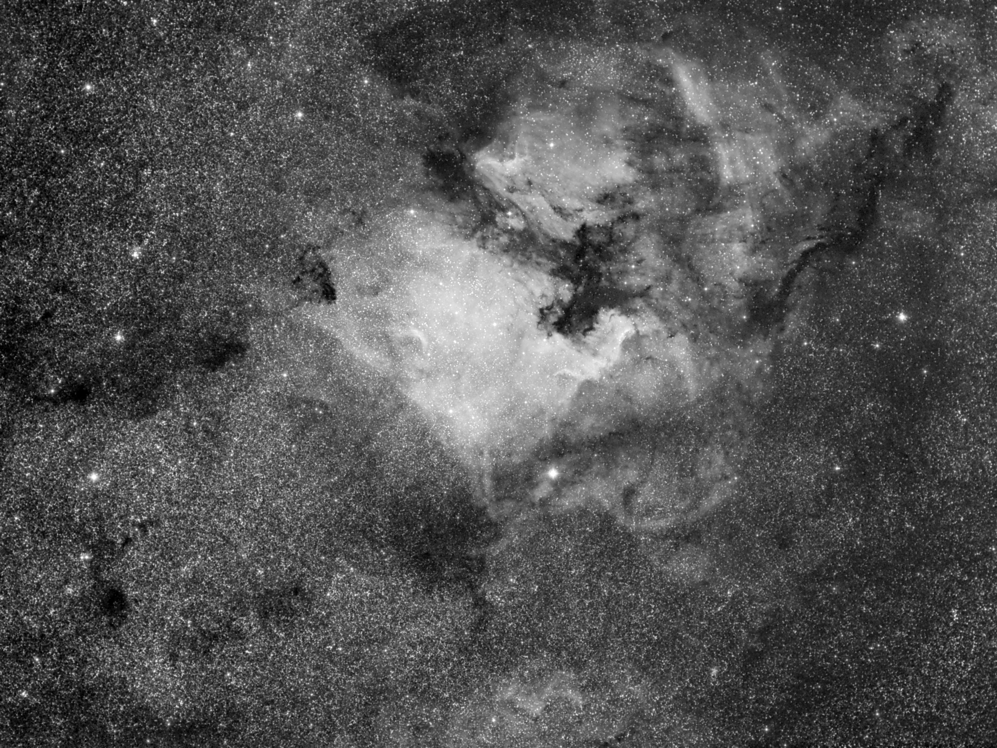 NGC 7000 and IC 5067 / 5070 - North America Nebula and Pelican Nebula - H&alpha;