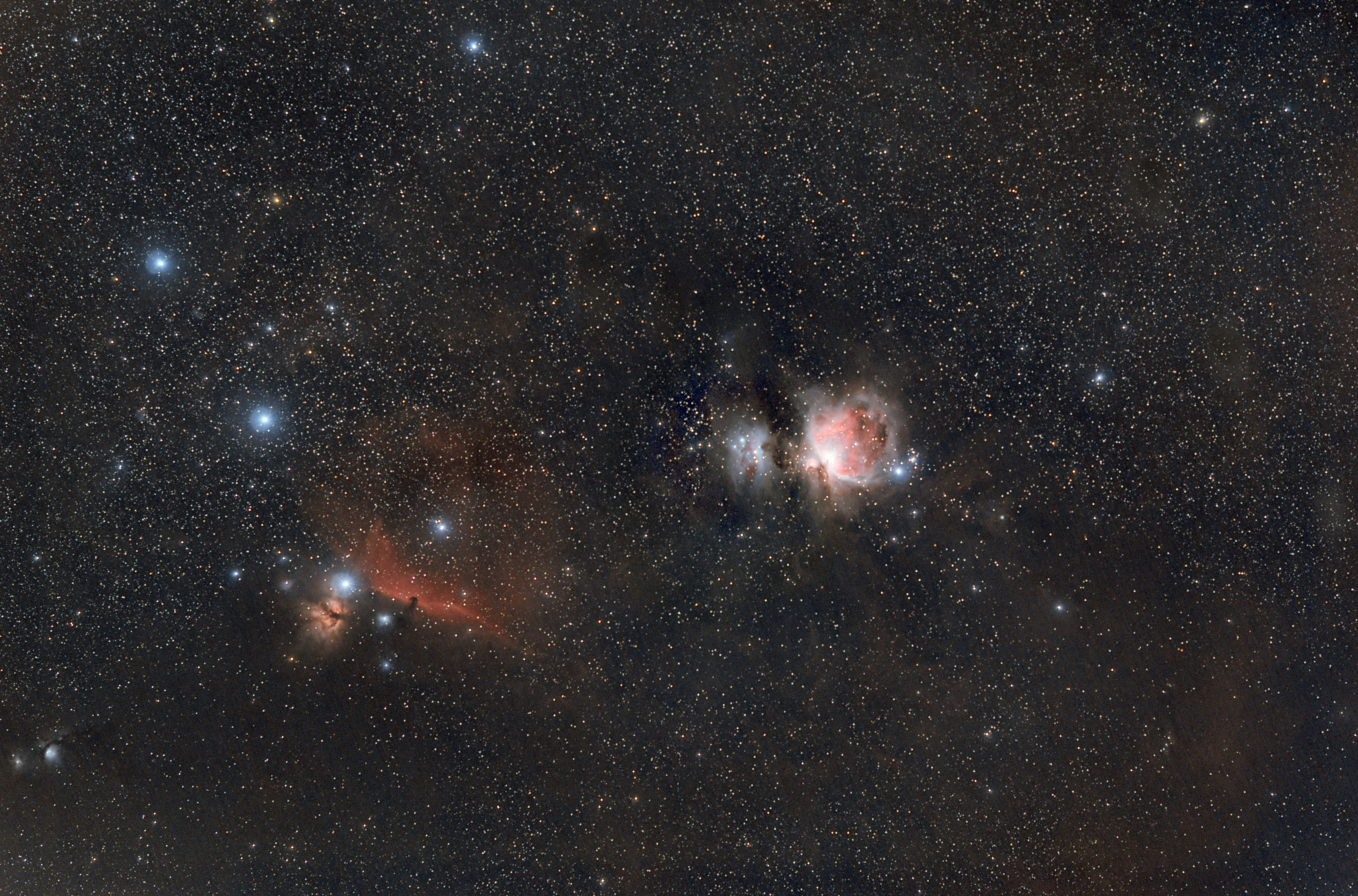 Orion with B33 and M 42/43